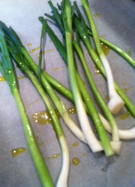 photo green garlic on roasting pan